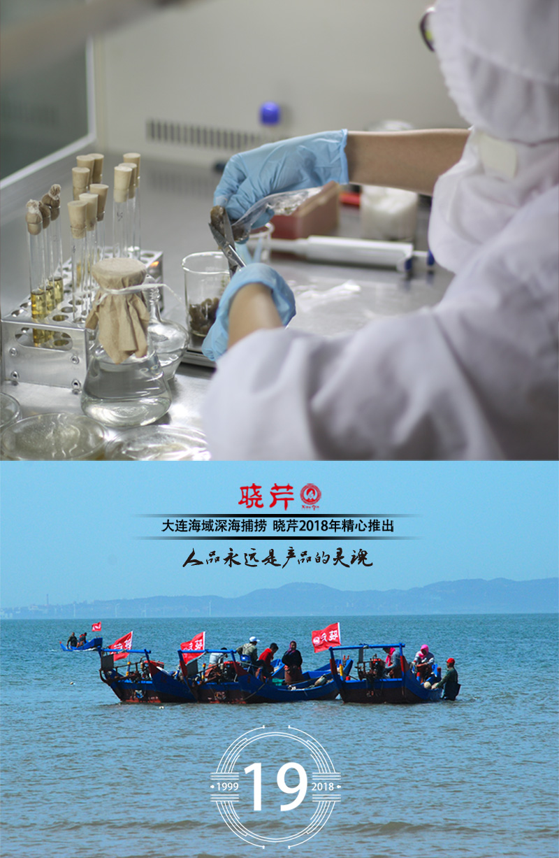 海參,干海參,大連海參,曉芹海參,海參品牌,遼刺參,海鮮水產(chǎn) 海參,干海參,大連海參,曉芹海參,海參品牌,遼刺參,海鮮水產(chǎn)